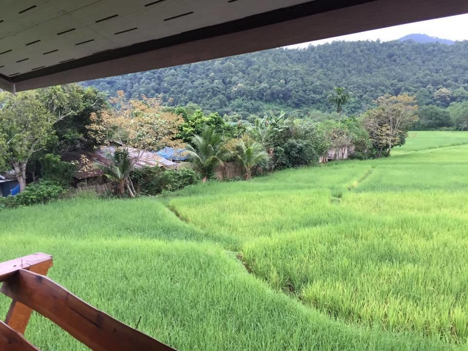 Отель Pimpa House Ban Hua Nam Mae Sakut Экстерьер фото